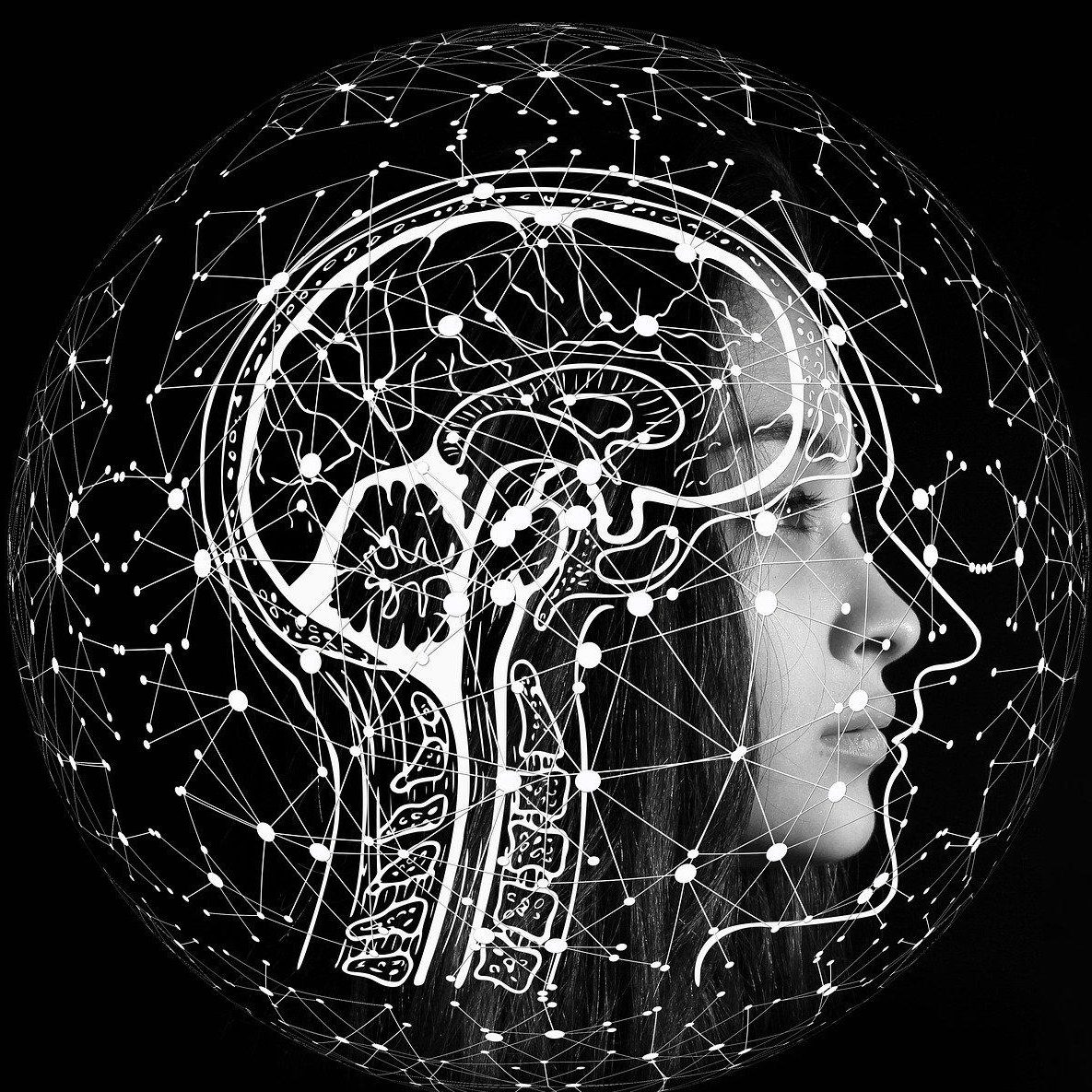 Digitales Mindset – Warum Digitalisierung im Kopf beginnt