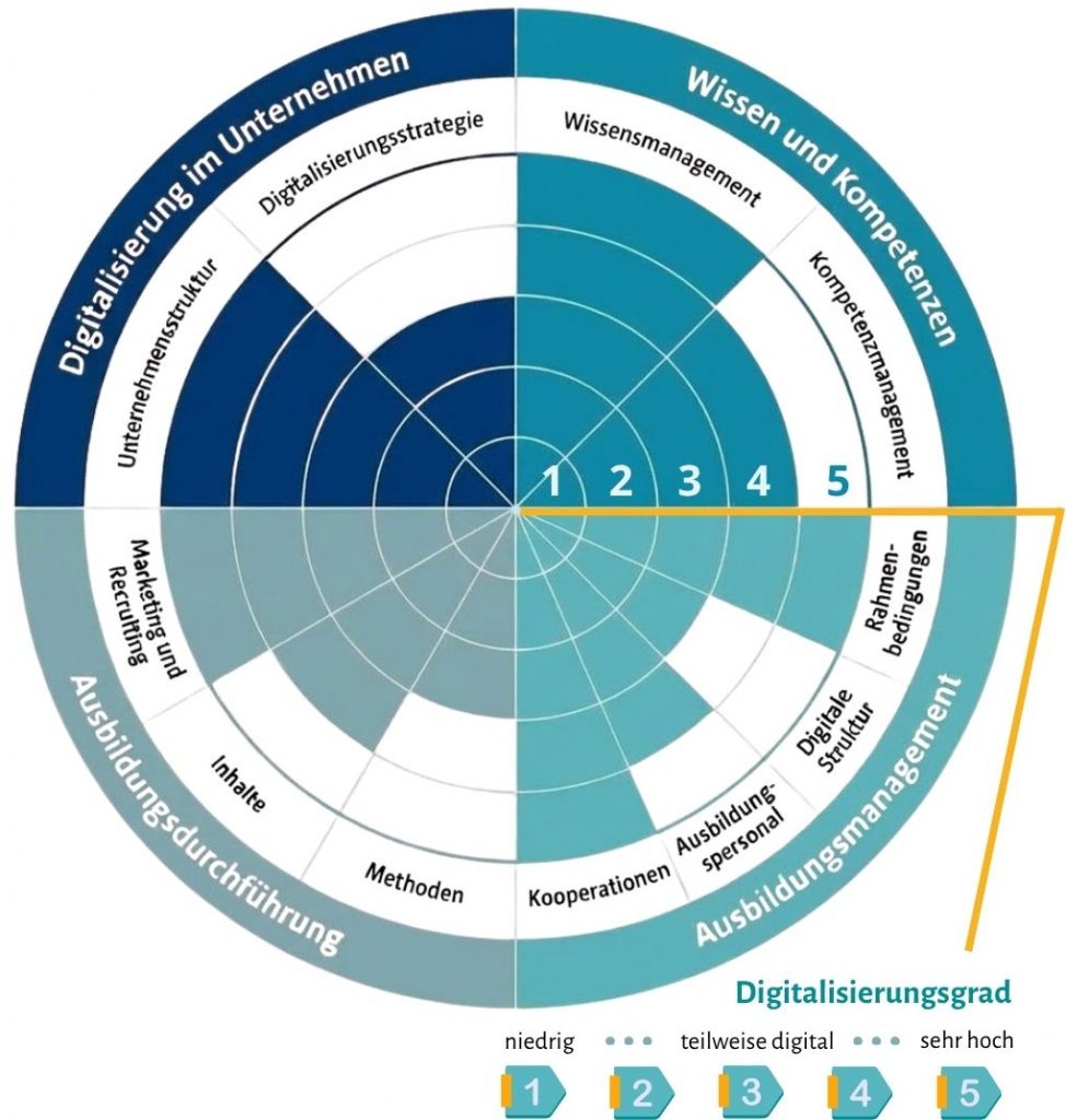 Grafik zu DiKICheck vom JOBvision-Projekt DiKITransPRO. Das Schaubild zeigt die visuelle Darstellung der Befragung zur Standortbestimmung.